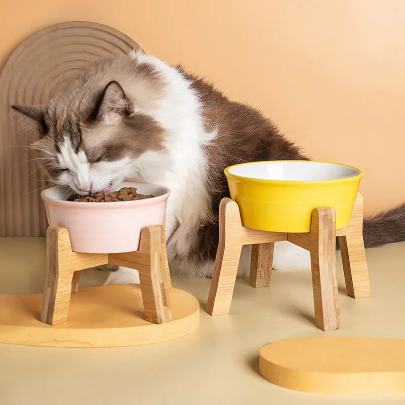 Cuenco de cer&aacute;mica para perros y gatos con protecci&oacute;n del cuello para alimentar agua y comida