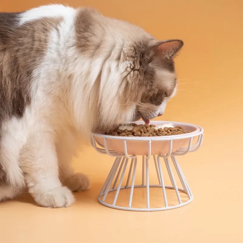 Plato de comida para mascotas de cer&aacute;mica multicolor, cuencos para gatos con soporte de metal