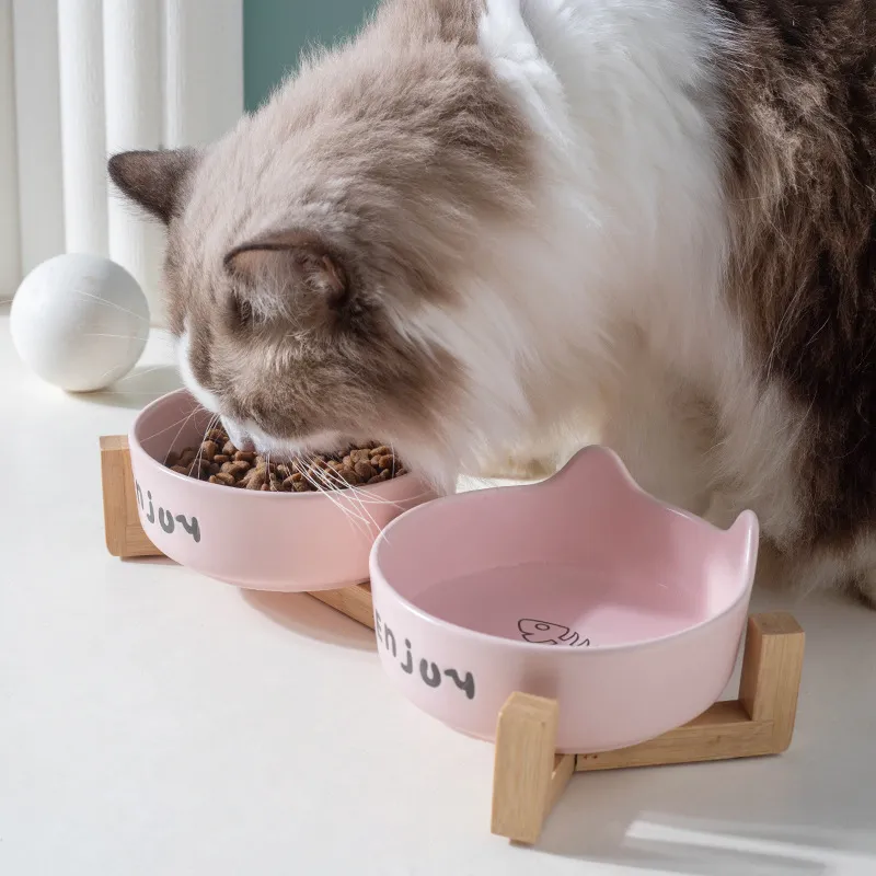 Cuenco de cerámica para gatos y mascotas, cuenco para perros con estante de madera de bambú Cuenco