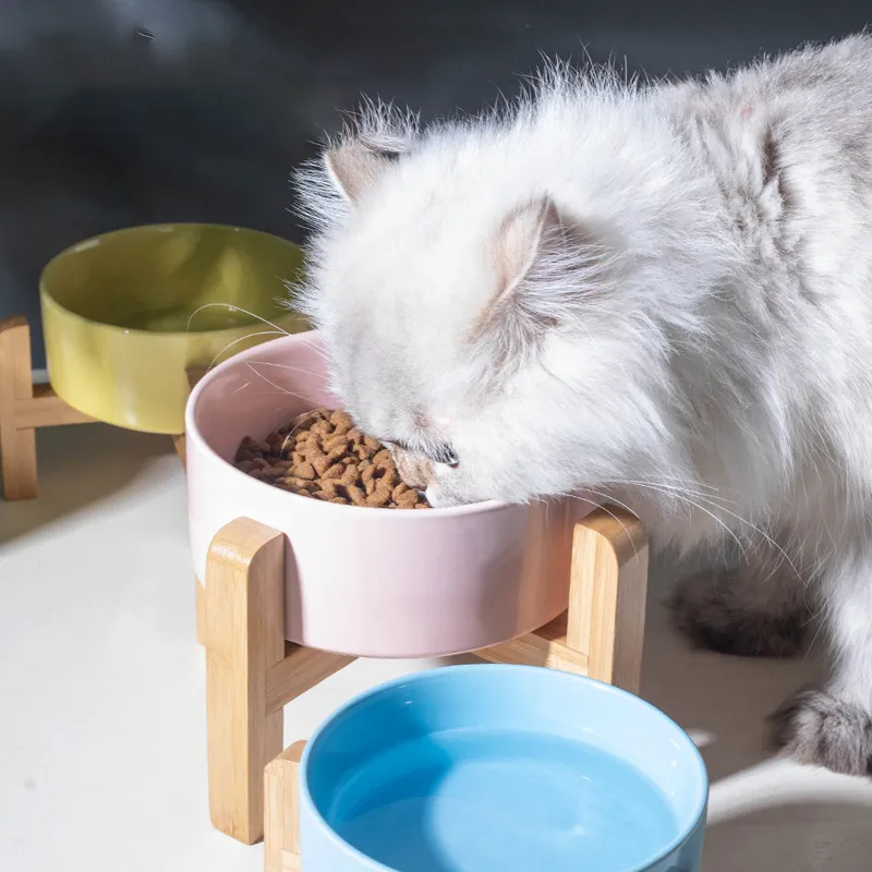 de comida para perros y gatos de cer&aacute;mica con 