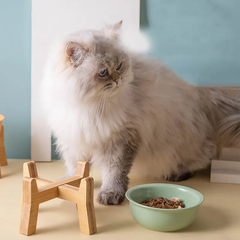 Cuenco para snacks de cer&aacute;mica estilo n&oacute;rdico para mascotas con alto de madera - Pie para perros y gatos 